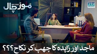 Majid amp Zahida Court Marriage  Pakistani Drama  Mor Chaal  FC2B [upl. by Romina65]