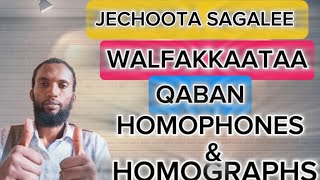 Jechoota sagalee tokko qaban Jechoota barreeffamaan walfakkaatanHomophones amp Homographs [upl. by Dnar]