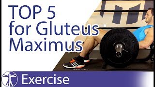 Top 5 Gluteus Maximus Exercises [upl. by Thorlay]