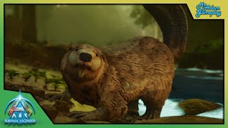 The Quest For Beaver Begins  ARK Survival Ascended  Modded Ep4 [upl. by Yecaw236]