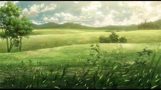 Beautiful Sky And Green Field  Background Video  Copyright Free [upl. by Akinajnat229]