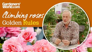 Caring for climbing roses  Golden Rules [upl. by Jaquenette]