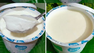 মাত্র ৮০ টাকা খরচ করে পাবেন প্রায় ১ কেজি টক দইHomemade yogurt  Easy recipe for Everyone [upl. by Celestyn]