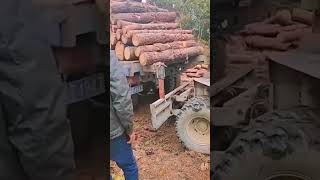 Preparation process before transporting logs [upl. by Nahtan473]