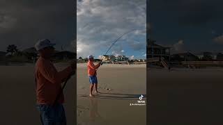 Big Blacktip caught in the surf of Pawleys Island SC sharkfishing [upl. by Chretien]