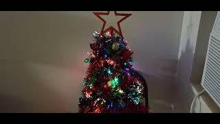 Charlie Brown Christmas Tree In The Dark [upl. by Yliah]