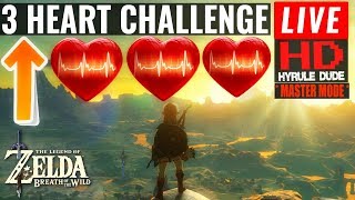 Breath of the Wild Master Mode 3 Heart Challenge  Hyrule Dude [upl. by Koziel]