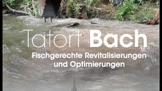 Wie Kolmatierung entsteht Aus dem Buch Tatort Bach [upl. by Ayadahs]