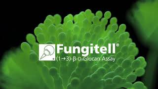 Fungitell® Promo Video [upl. by Orvan]