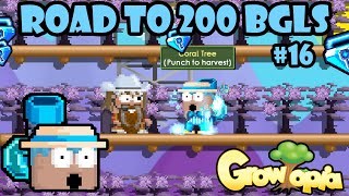 BASHING 15 DLS FROM DQ 🤯  Road To 200 BGLS 16  GrowTopia Profit 2024 [upl. by Oneida897]