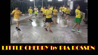 Little Cherry line dance [upl. by Earleen]