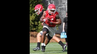 Evander Holyfields Son is a FREAK OF NATURE Elijah Holyfield Georgia RB reaction video [upl. by Otreblada]