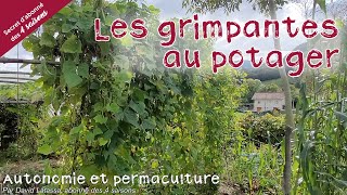 Les grimpantes au potager  Autonomie et permaculture avec David [upl. by Nnav777]