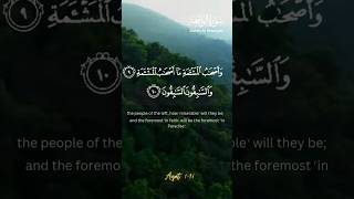 surah waqiah beautiful recitation [upl. by Ardnod552]