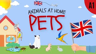 Pets Vocabulary Animals at home English ESL Lesson [upl. by Xever]