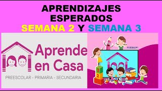 Soy Docente APRENDIZAJES ESPERADOS APRENDE EN CASA 2 SEMANA 2 Y SEMANA 3 [upl. by Ahtis47]