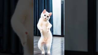 Gori fula Jhadi Baru shortvideo viralvideos youtubeshorts trending catvideos cartoon [upl. by Eiro283]