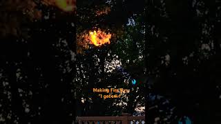 Flamethrower  wasp nest  Fire flys backyardstuff wasp nest bee hive flame thrower diy [upl. by Ingra970]