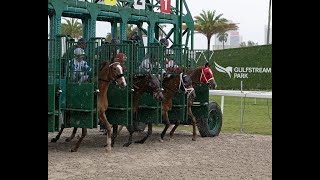 Gulfstream Park Resumen  22 de Marzo 2024 [upl. by Rothstein]