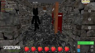 raid 4tnt CATASTROPHIA ROBLOX [upl. by Xeno]