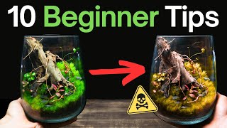 10 Terrarium Tips You NEED To Know Before You Start [upl. by Lettie607]