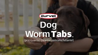 Provide 4Way Protection With Durvet Dog Worm Tabs [upl. by Talbert]