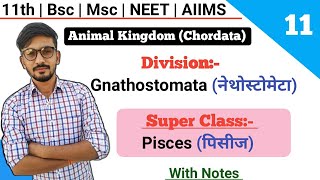 Division Gnathostomata  SuperClass Pisces पिसीज  Classification Of Chordates  By Dadhich Sir [upl. by Tolley]