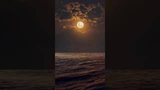 moon edit 4k moon foryou [upl. by Charron]