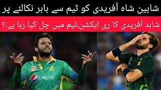 shaheen shah afridi banned  shahid afridi reaction  Pakistan team [upl. by Topliffe]