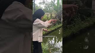 Hampir kepleset di Kolam Terbengkalai 😰  Part 3 penelusuran putrierika [upl. by Dranyl663]