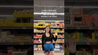 GROCERY SHOPPING ON A 35 WEEKLY BUDGET [upl. by Gaw]