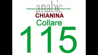 CHIANINA  COLLARE 115 IT050990046355 [upl. by Lennej409]