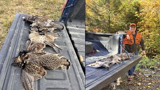 2024 Maine Grouse Season Week 1 Review [upl. by Dammahom]