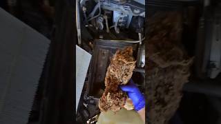 Air filter box Dodge Ram 1500 Hemi 57 L V8 hemi [upl. by Alcina]