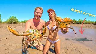 Exploring for GIANT MUDCRABS and Rare Species in Remote Australia [upl. by Nossah791]