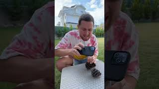 Life Hack Opening a NUT without DESTROYING it Subscriptions💪🌰😱shorts kHomeShorts [upl. by Clary258]