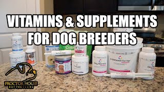 WHAT I USE FOR VITAMINS amp SUPPLEMENTS [upl. by Aimehs]