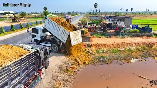 Open Processing Filling Up The Land  Small Project  Bulldozer KOMATSU D31P Dump Truck 5Ton [upl. by Spracklen180]