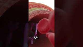 Biomarker Detection Simplified Homogeneous Luminescence Assay biomarkers immunoassay [upl. by Alag408]