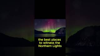 The Northern Lights In Scandinaviashorts fyp travel nature [upl. by Ticknor]