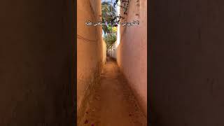 ghardaia youtubertorism fyp like video youtube tiktok [upl. by Neillij336]