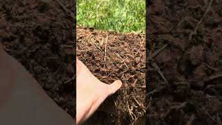 Using a sod cutter to fill in patchy grass [upl. by Bunder]