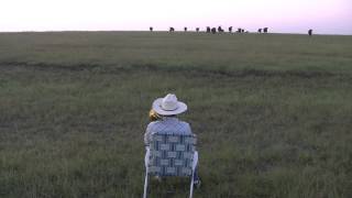 Serenading The Cattle With My Trombone [upl. by Haelam809]