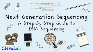 Next Generation Sequencing  A StepByStep Guide to DNA Sequencing [upl. by Itnahs466]