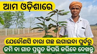 How to Prepare land for Farming in Odisha। Rabi Organic Farming [upl. by Atenik]