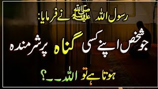 Jo Shkhs Apne Kise gunah par sharminda Hota hai  Islam ki Bat  Hadees  Islamic Urdu TAIF VOICE [upl. by Charmane]