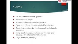 Plant viruses as vectors [upl. by Capone]