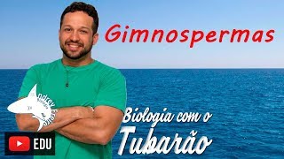 Gimnospermas  Botânica  Biologia com o Tubarão [upl. by Ia]