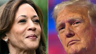 Présidentielle américaine  que disent les sondages du match Kamala Harris  Donald Trump [upl. by Socram]