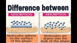 Difference between Adsorption or Absorption what is adsorption or absorption [upl. by Born]